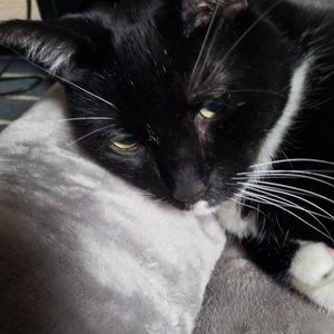 Meet your Posher, Carol